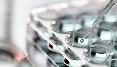 Pipetting sample into multi well tray