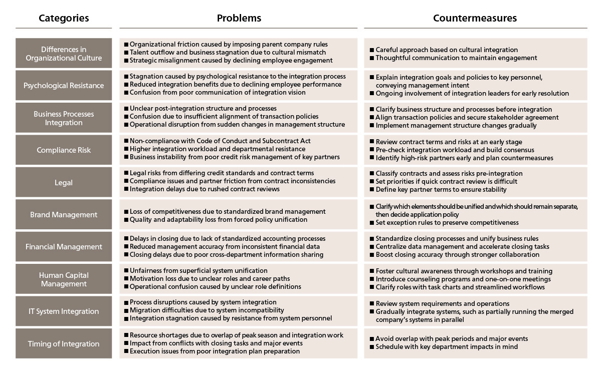 Figure 1. Main Issues and Countermeasures in Group Restructuring