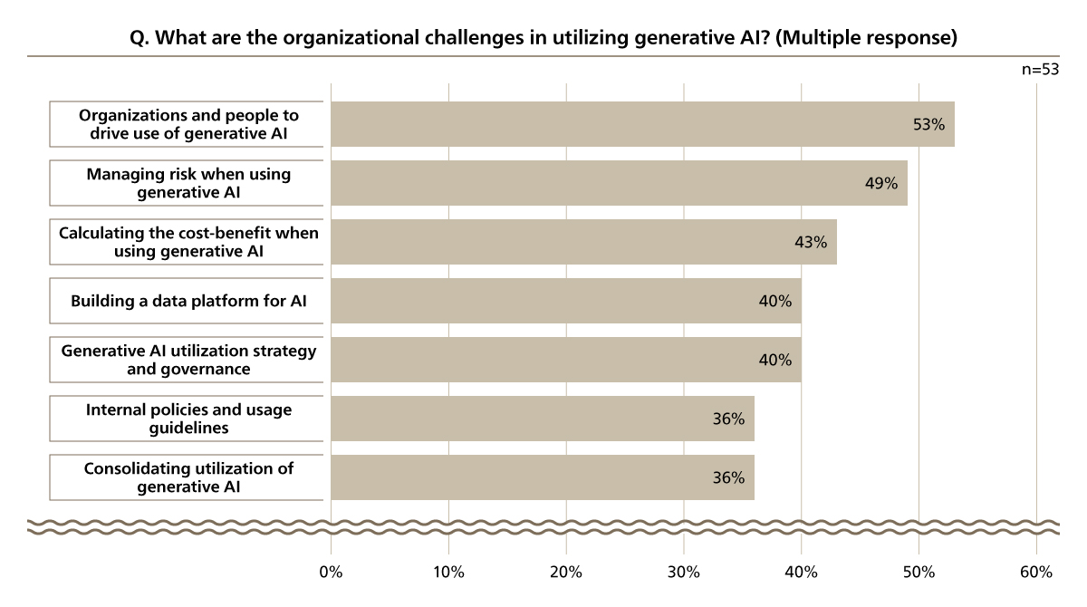 Organizational Challenges in Generative AI Utilization