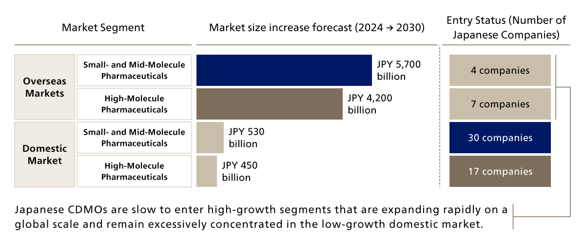 Market Growth Forecasts by Segment and Entry Status of Japanese Companies