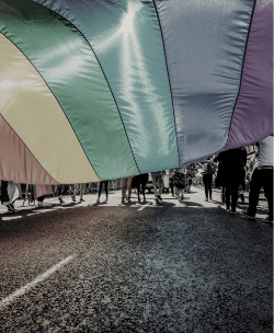  LGBT