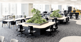 Work Area