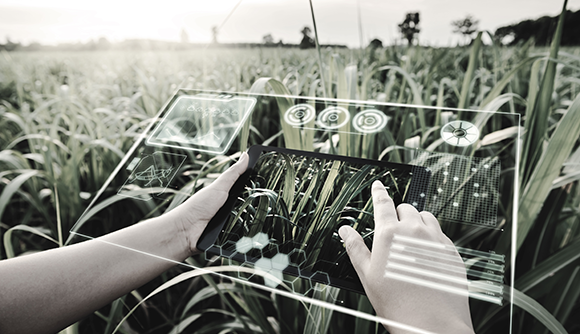 Local Farming Business