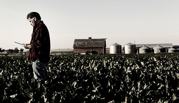 Global Agriculture Company