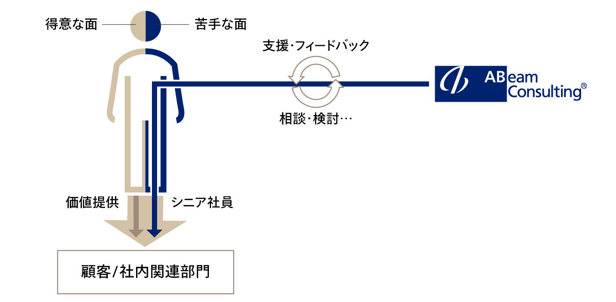 図4 伴走型シニア社員活用モデル