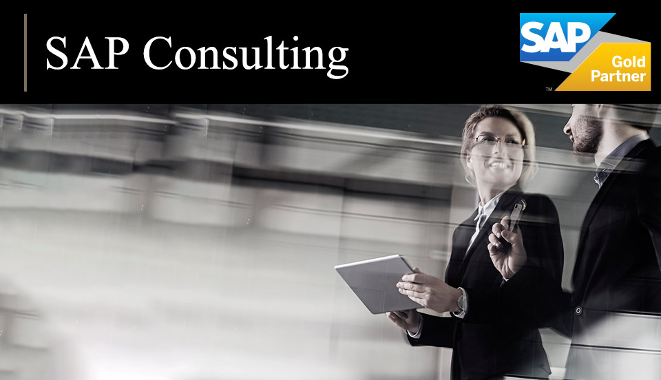 SAP Consulting