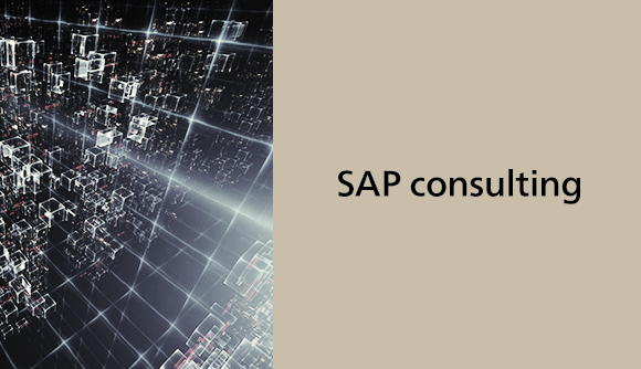 SAP consulting