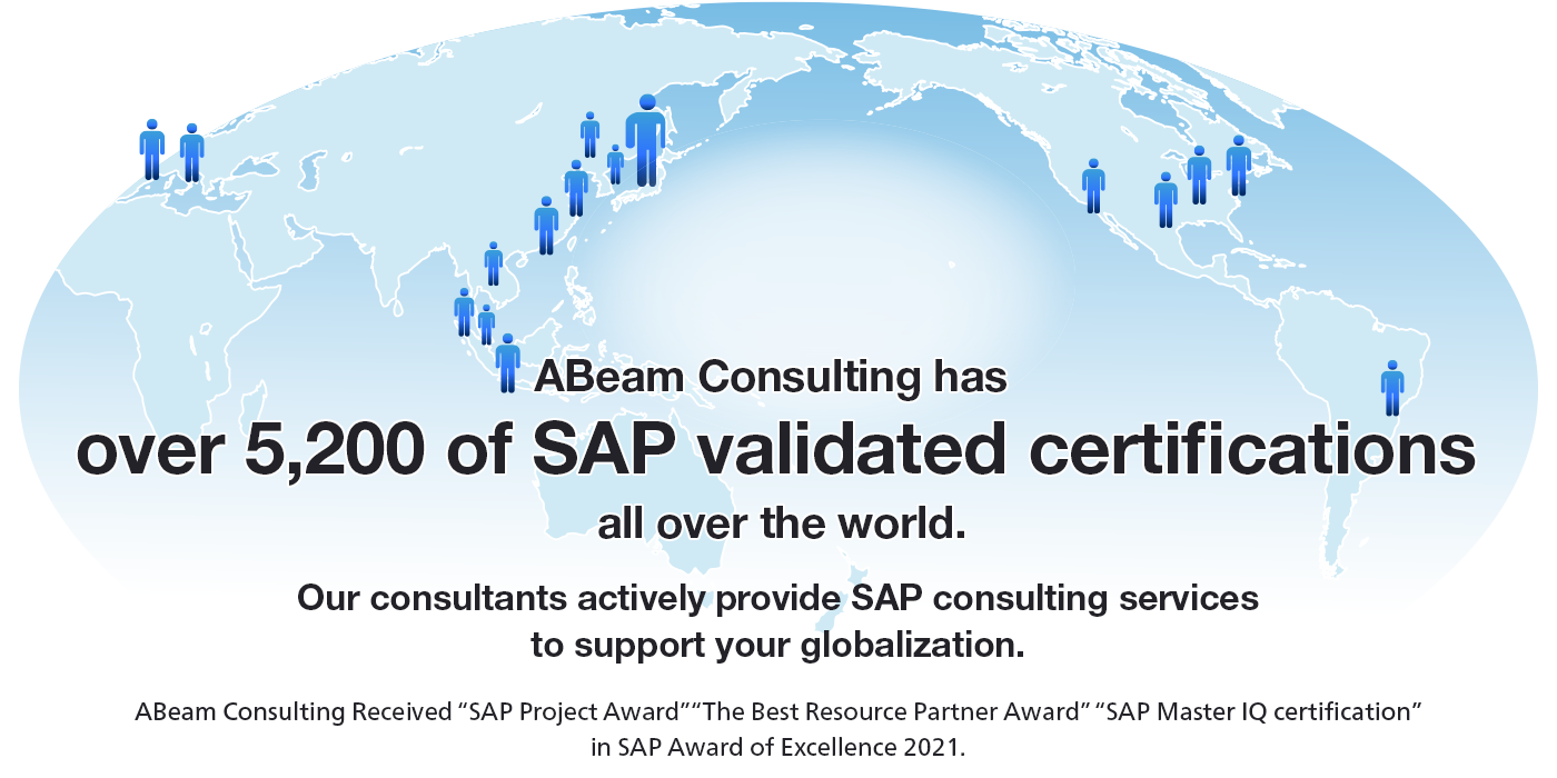 SAP Consultant
