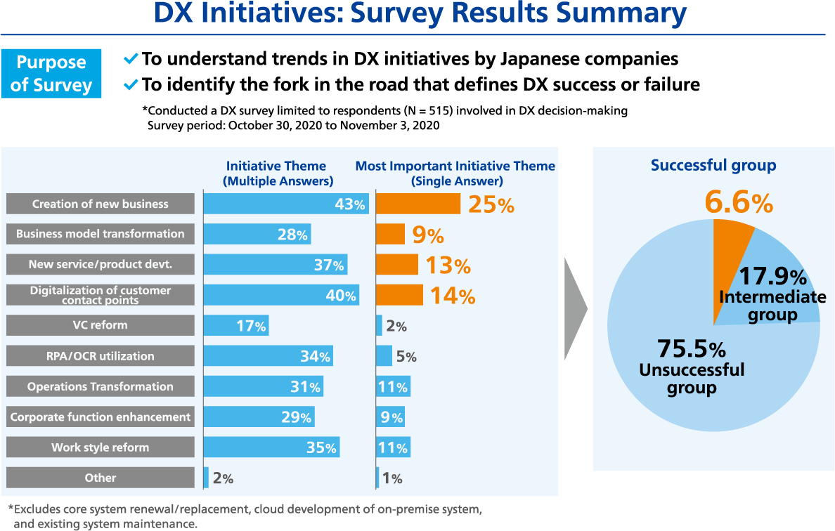 DX Initiatives: Survey Results Summary