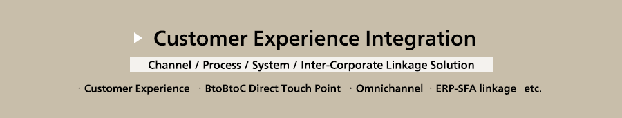 Customer Experience Integration 